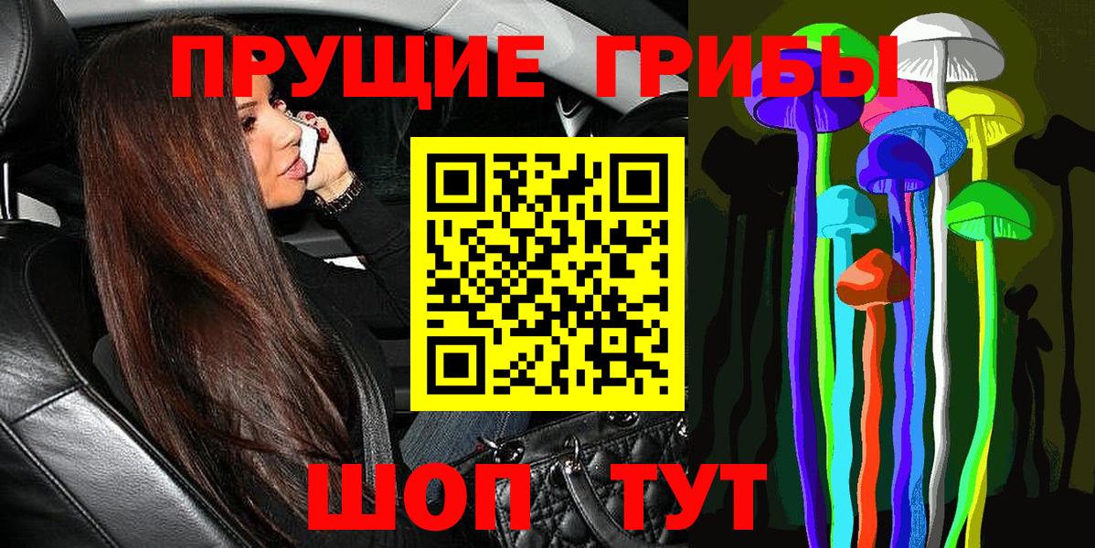 Тара  Псилоцибиновые грибы Cubensis  где можно купить   Вход с VPN  Галлюциногенные грибы мицелий 