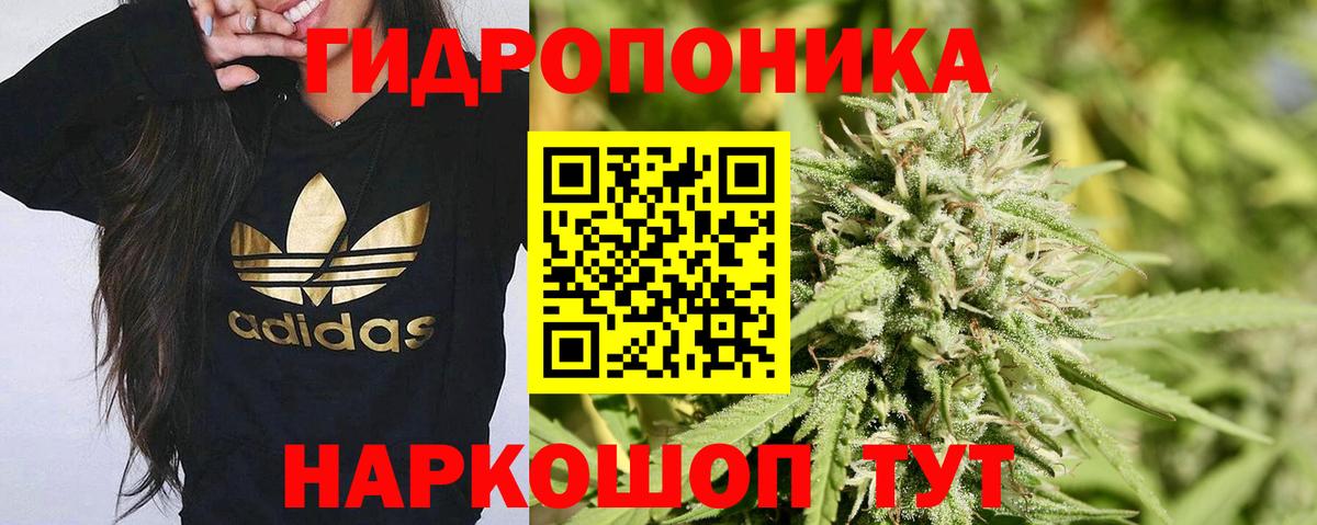 Конопля индика Тара